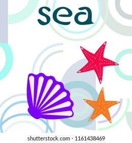 starfish shell sea vector background