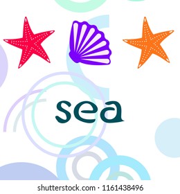 starfish shell sea vector background