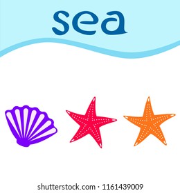 starfish shell sea vector background