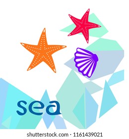 starfish shell sea vector background