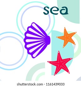 starfish shell sea vector background