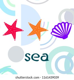 starfish shell sea vector background