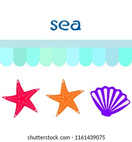 starfish shell sea vector background