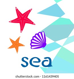 starfish shell sea vector background