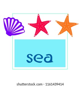 starfish shell sea vector background