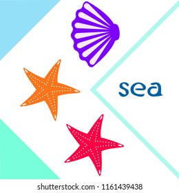 starfish shell sea vector background