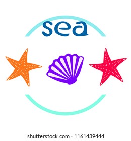 starfish shell sea vector background
