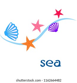 starfish shell sea vector background