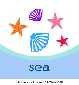 starfish shell sea vector background