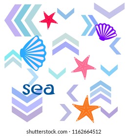 starfish shell sea vector background