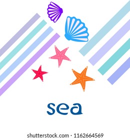starfish shell sea vector background
