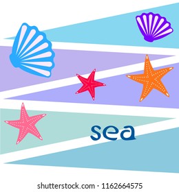 starfish shell sea vector background
