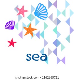starfish shell sea vector background