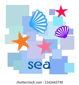 starfish shell sea vector background