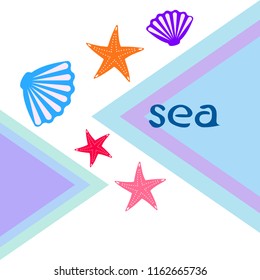starfish shell sea vector background
