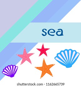 starfish shell sea vector background