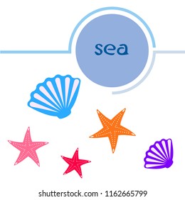 starfish shell sea vector background