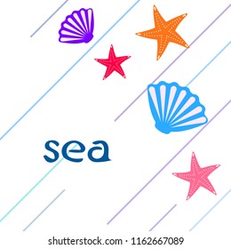 starfish shell sea vector background