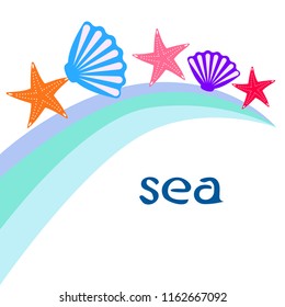 starfish shell sea vector background