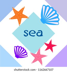starfish shell sea vector background