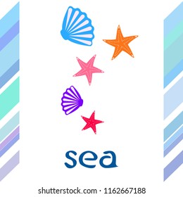 starfish shell sea vector background