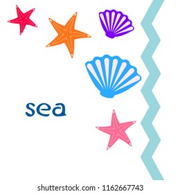 starfish shell sea vector background
