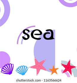 starfish shell sea vector background