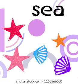 starfish shell sea vector background