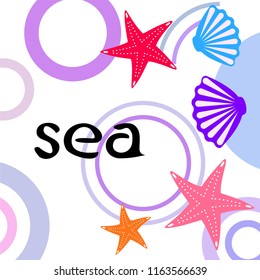 starfish shell sea vector background