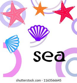 starfish shell sea vector background