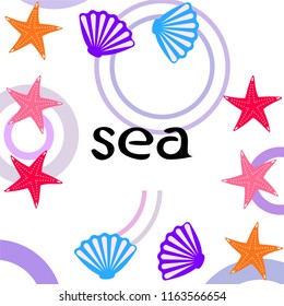 starfish shell sea vector background