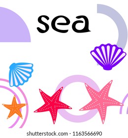 starfish shell sea vector background