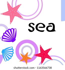 starfish shell sea vector background