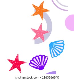 starfish shell sea vector background