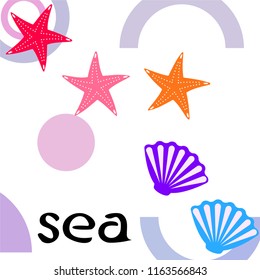 starfish shell sea vector background