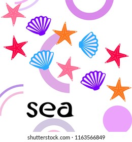 starfish shell sea vector background