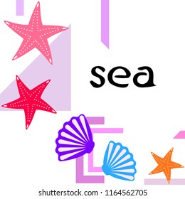 starfish shell sea vector background