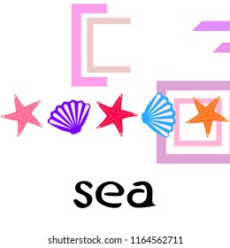 starfish shell sea vector background