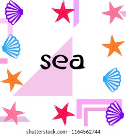 starfish shell sea vector background