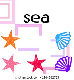 starfish shell sea vector background