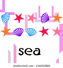 starfish shell sea vector background
