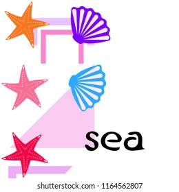 starfish shell sea vector background