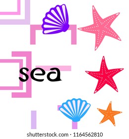 starfish shell sea vector background