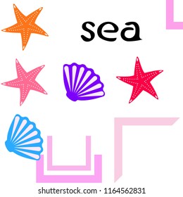 starfish shell sea vector background