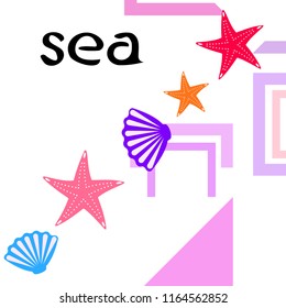 starfish shell sea vector background