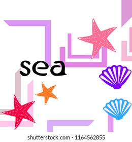 starfish shell sea vector background