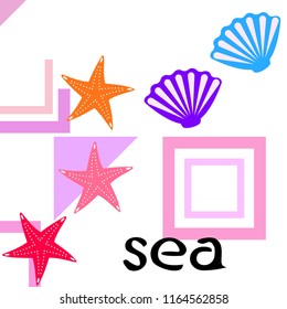 starfish shell sea vector background