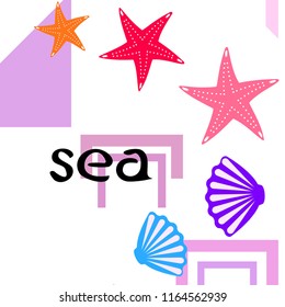 starfish shell sea vector background