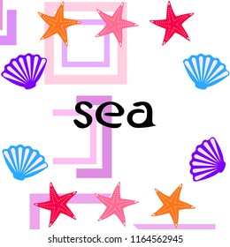 starfish shell sea vector background