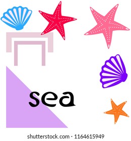 starfish shell sea vector background